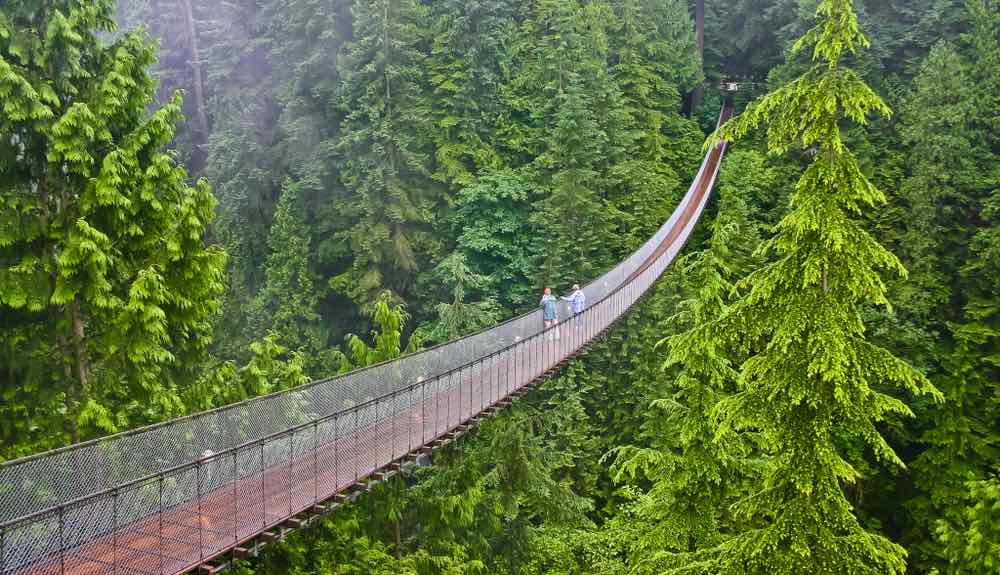 Uizicht over de Capilano Suspension Bridge